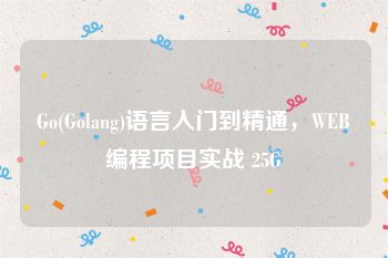 Go(Golang)语言入门到精通，WEB编程项目实战 25G