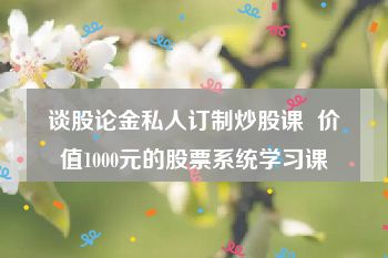 谈股论金私人订制炒股课  价值1000元的股票系统学习课