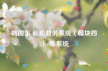 刘国东 长松财务系统（模块四）-账系统