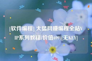 [软件编程] 大猛网赚编程全站VIP系列教程(价值699)[无KEY]