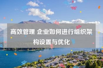 高效管理 企业如何进行组织架构设置与优化