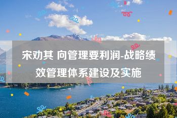 宋劝其 向管理要利润-战略绩效管理体系建设及实施