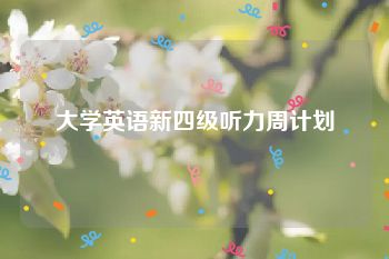 大学英语新四级听力周计划