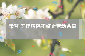 梁智 怎样解除和终止劳动合同