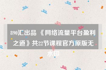 890汇出品 《网络流量平台盈利之道》共22节课程官方原版无水印