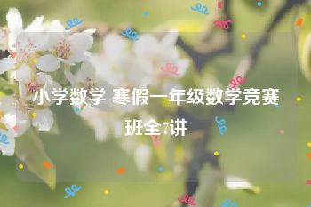 小学数学 寒假一年级数学竞赛班全7讲