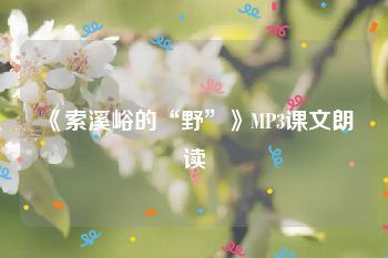 《索溪峪的“野”》MP3课文朗读