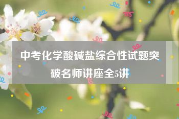 中考化学酸碱盐综合性试题突破名师讲座全5讲