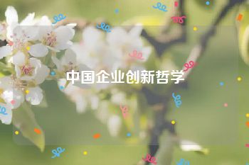 中国企业创新哲学