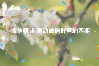 [微信赚钱]赚动微信群黄埔四期