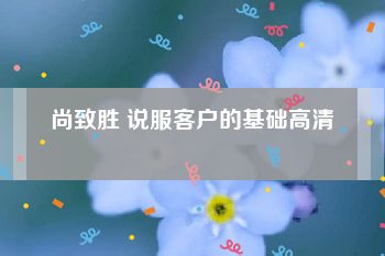 尚致胜 说服客户的基础高清