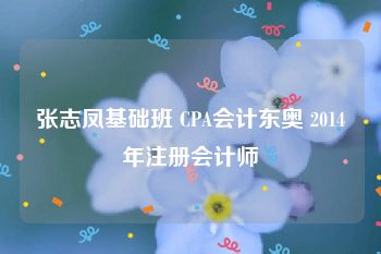 张志凤基础班 CPA会计东奥 2014年注册会计师