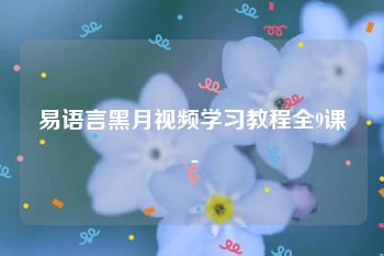 易语言黑月视频学习教程全9课 -