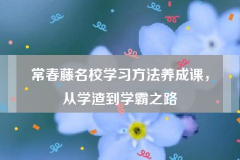 常春藤名校学习方法养成课，从学渣到学霸之路