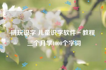 拼玩识字 儿童识字软件－教程 三个月学1000个字词