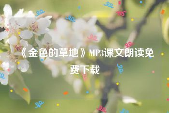 《金色的草地》MP3课文朗读免费下载