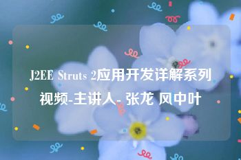 J2EE Struts 2应用开发详解系列视频-主讲人- 张龙 风中叶