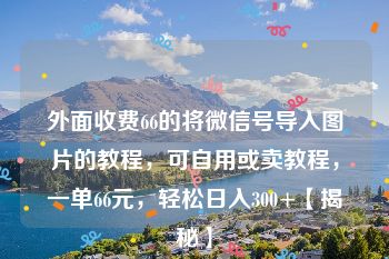 外面收费66的将微信号导入图片的教程，可自用或卖教程，一单66元，轻松日入300+【揭秘】