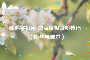 陈鹏宇机密-微商终极吸粉技巧（粉丝爆破术）