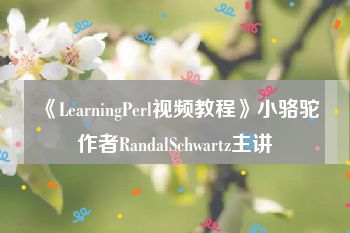 《LearningPerl视频教程》小骆驼作者RandalSchwartz主讲