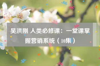 吴洪刚 人类必修课：一堂课掌握营销系统（10集）