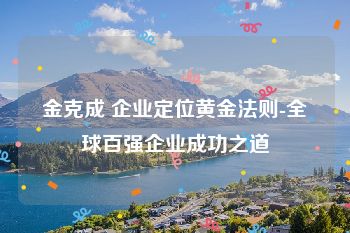 金克成 企业定位黄金法则-全球百强企业成功之道