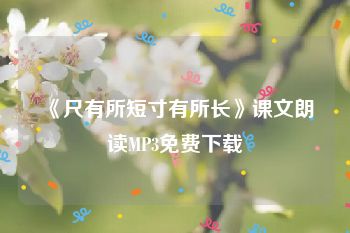 《尺有所短寸有所长》课文朗读MP3免费下载