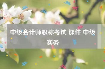 中级会计师职称考试 课件 中级实务