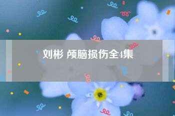 刘彬 颅脑损伤全4集