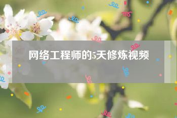 网络工程师的5天修炼视频