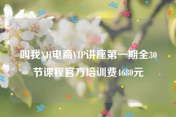 叫我XH电商VIP讲座第一期全30节课程官方培训费4680元