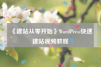 《建站从零开始》WordPress快速建站视频教程