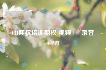 CII期权培训期权 视频++录音+PPT