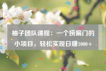 柚子团队课程：一个捞偏门的小项目，轻松实现日赚1000+