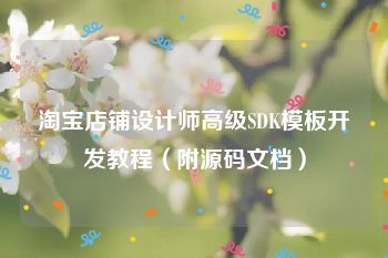 淘宝店铺设计师高级SDK模板开发教程（附源码文档）