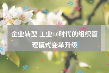 企业转型 工业4.0时代的组织管理模式变革升级