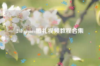 24Frames婚礼视频教程合集