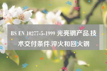 BS EN 10277-5-1999 光亮钢产品.技术交付条件.淬火和回火钢