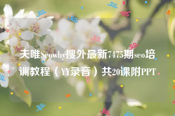 夫唯Seowhy搜外最新7475期seo培训教程（YY录音）共20课附PPT