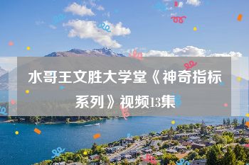 水哥王文胜大学堂《神奇指标系列》视频13集