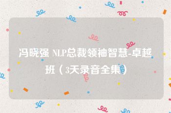 冯晓强 NLP总裁领袖智慧-卓越班（3天录音全集）