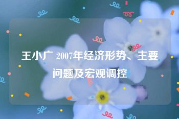 王小广 2007年经济形势、主要问题及宏观调控