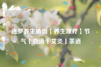 迷罗养生瑜伽【养生理疗】节气丨香道丨艾灸丨茶道