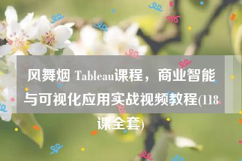 风舞烟 Tableau课程，商业智能与可视化应用实战视频教程(118课全套)