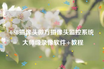 USB摄像头微方摄像头监控系统 大师级录像软件+教程