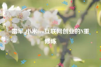 雷军 小米ceo互联网创业的N重修炼