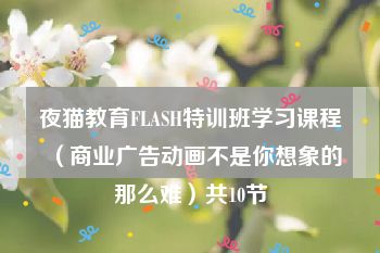 夜猫教育FLASH特训班学习课程（商业广告动画不是你想象的那么难）共10节