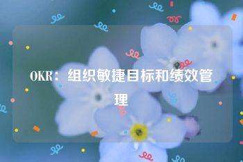 OKR：组织敏捷目标和绩效管理