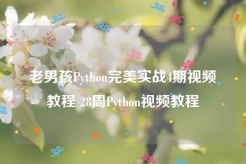 老男孩Python完美实战4期视频教程 28周Python视频教程