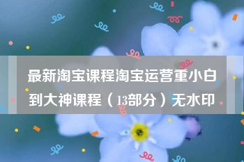 最新淘宝课程淘宝运营重小白到大神课程（13部分）无水印